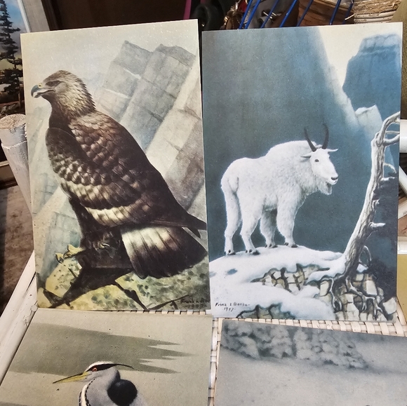 Vintage Unused Postcards - Picture 2 of 5